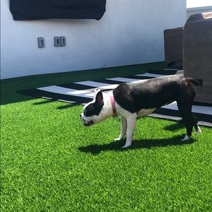 Meet your Posher, Kristin